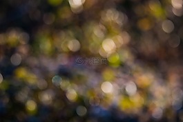 散景,背景,圓