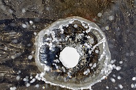 雪球,啟動(dòng)畫面,水坑里