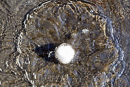 雪球,啟動(dòng)畫面,水坑里