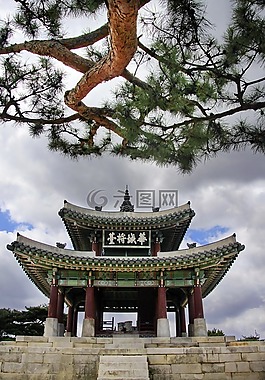 木材,户外,天堂