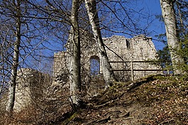 rusenschloss,废墟,gerhausen