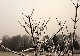 凍結(jié),弗羅斯特,冰鎮(zhèn)