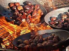 栗子,火災(zāi),烤栗子