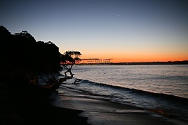日落,海灘,海