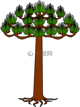 樹,紋章,araucarias