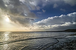 岸,海洋,海