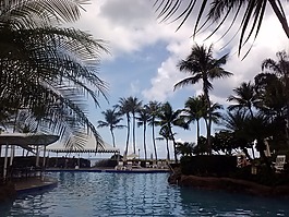 游泳池,池,水