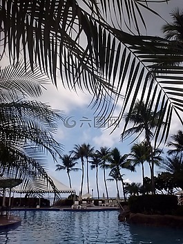 游泳池,池,水