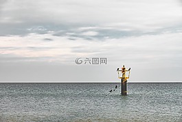 海,鸟,极点