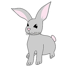 兔,兔子,可愛