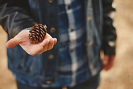 自然,手,目睹