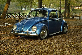 車,釀酒,公園