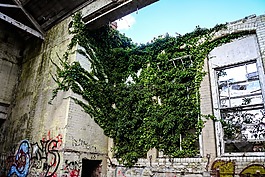 st crispins,避難所,醫(yī)院