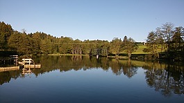 oggenrieder weiher,irsee,阿爾高