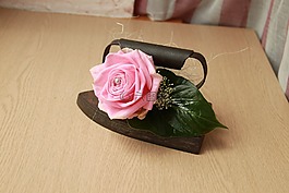 鐵,年份,粉色