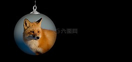 圣誕飾品,?？怂?圣誕節(jié)