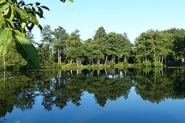 反射,藍(lán)色,幾點(diǎn)思考
