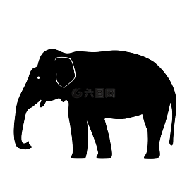 象,亞洲,側(cè)影