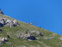 邊坡,報(bào)告,高山草甸