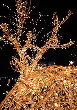 燈,led,光