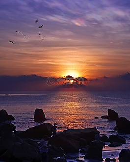 海,海灘,水