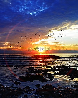 海,水,海灘