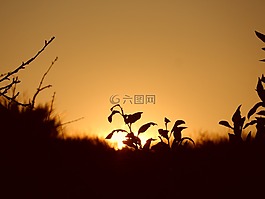 日落,下午,自然