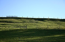 耦合,牧場,草地