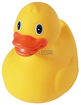 鴨,塑料,黃色