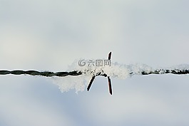 雪,鐵絲網(wǎng),冬天