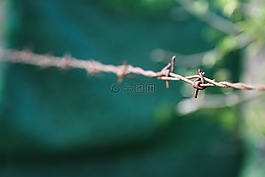 線,帶動,籬笆