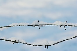 雪,鐵絲網(wǎng),冬天