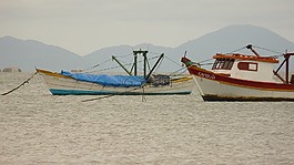 小船,mar,捕魚