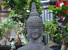 佛雕像,禪宗,佛教