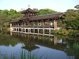 日本,京都,花園