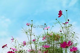 宇宙,秋季,天空