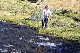 費舍爾,irmak,網絡