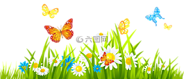 花,蝴蝶