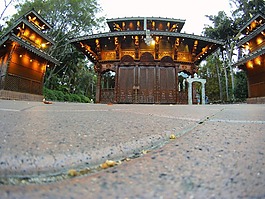 佛教,寺,布里斯班