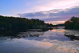 湖,日落,公園