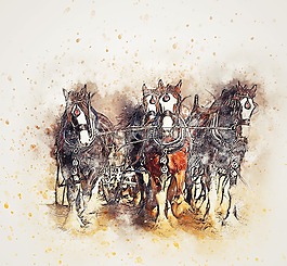馬,耕作,動物