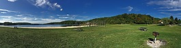 公園,草,湖