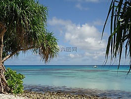 海,海洋,水