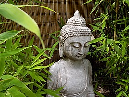佛,禪宗,佛教