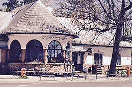 normafa,房屋,匈牙利