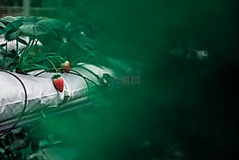 食品,健康,夏天