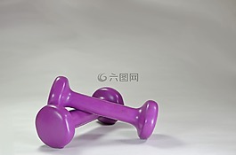 重量,演習(xí),健身