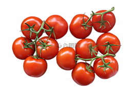 蕃茄,桁架,包裝