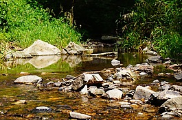 水,河,過獨(dú)身生活