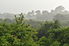 雨,下雨天,滴